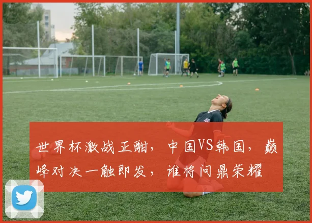 世界杯激战正酣，中国VS韩国，巅峰对决一触即发，谁将问鼎荣耀
