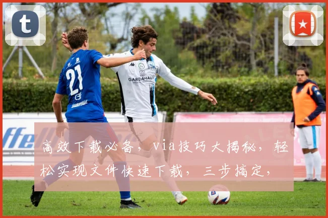 高效下载必备，via技巧大揭秘，轻松实现文件快速下载，三步搞定，不容错过
