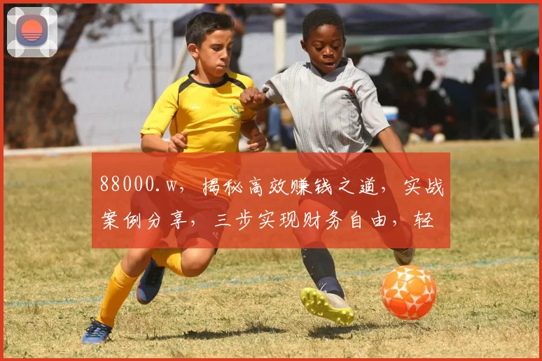 88000.w，揭秘高效赚钱之道，实战案例分享，三步实现财务自由，轻松理财