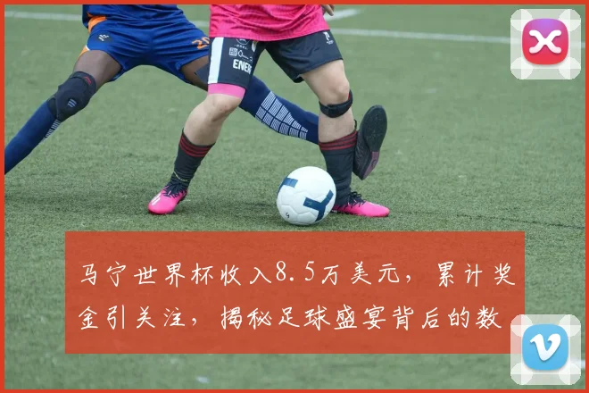 马宁世界杯收入8.5万美元，累计奖金引关注，揭秘足球盛宴背后的数字游戏，引热议