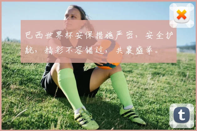 巴西世界杯安保措施严密，安全护航，精彩不容错过，共襄盛举。