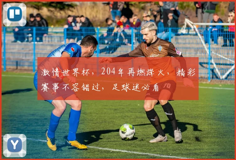 激情世界杯，204年再燃烽火，精彩赛事不容错过，足球迷必看