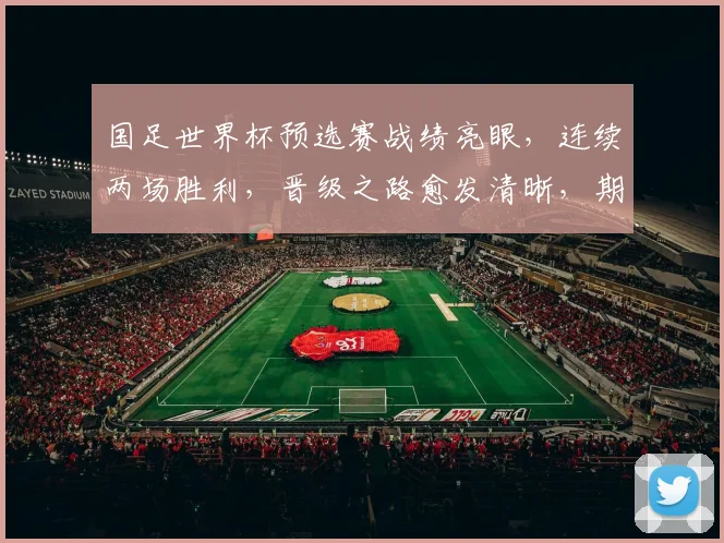 国足世界杯预选赛战绩亮眼，连续两场胜利，晋级之路愈发清晰，期待精彩表现，。