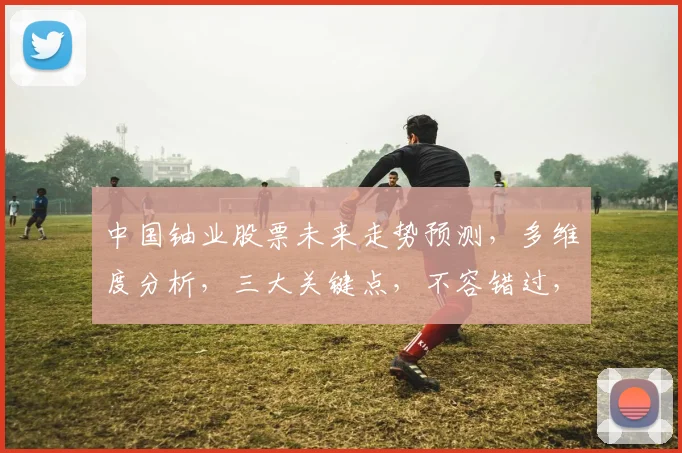 中国铀业股票未来走势预测，多维度分析，三大关键点，不容错过，洞察先机